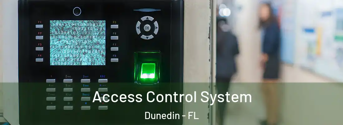 Access Control System Dunedin - FL