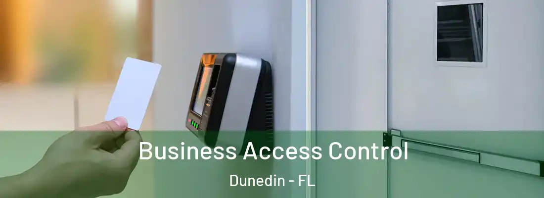 Business Access Control Dunedin - FL