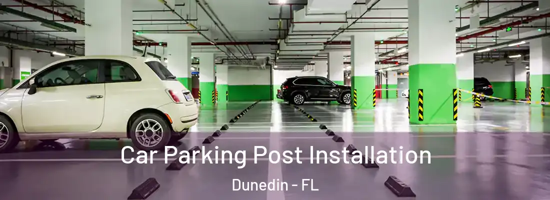  Car Parking Post Installation Dunedin - FL