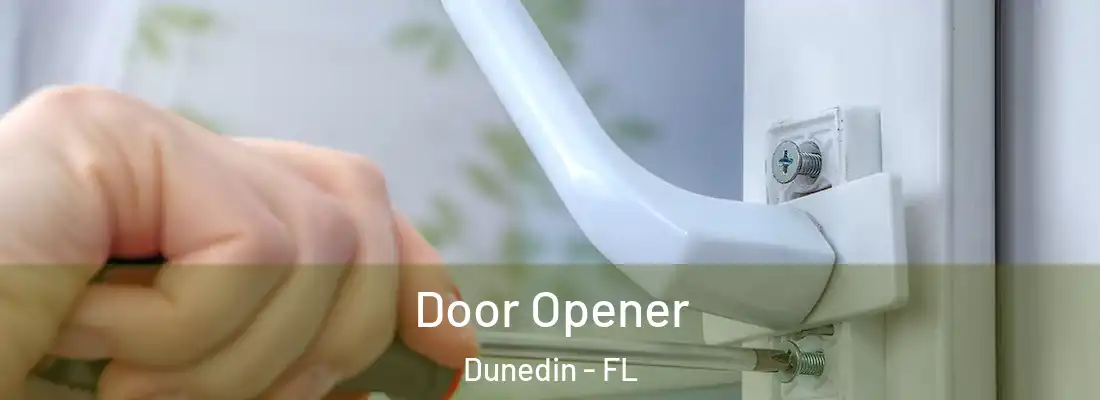  Door Opener Dunedin - FL
