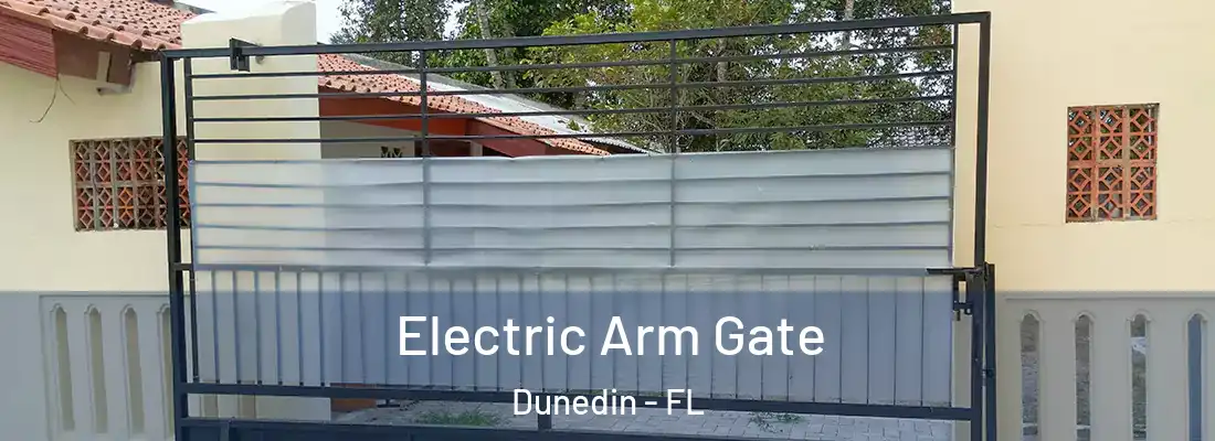  Electric Arm Gate Dunedin - FL