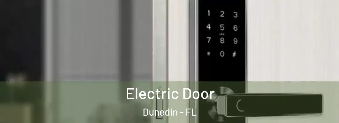  Electric Door Dunedin - FL