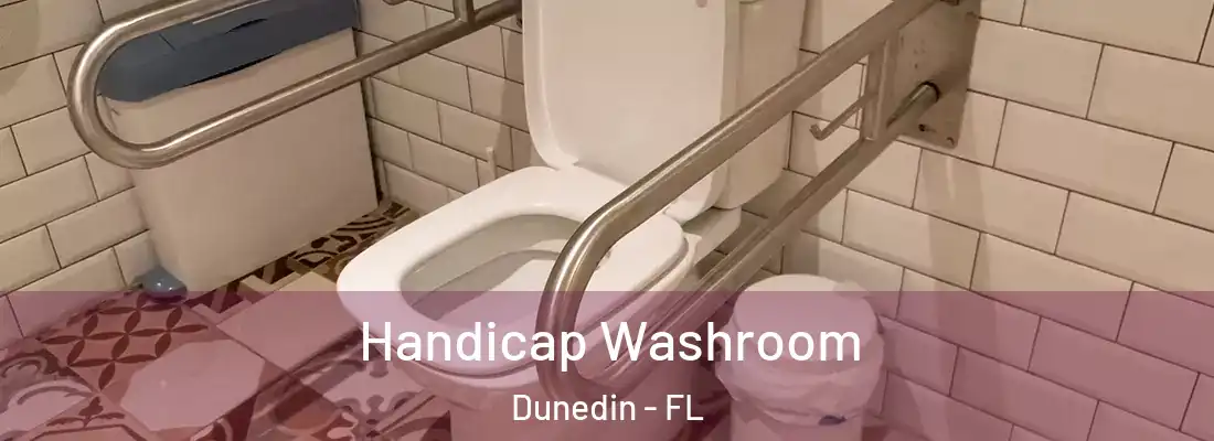  Handicap Washroom Dunedin - FL