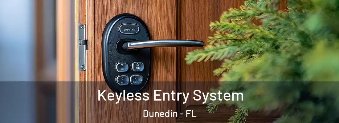 Keyless Entry System Dunedin - FL