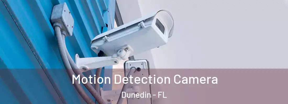 Motion Detection Camera Dunedin - FL