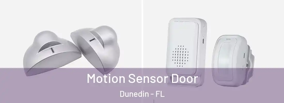 Motion Sensor Door Dunedin - FL
