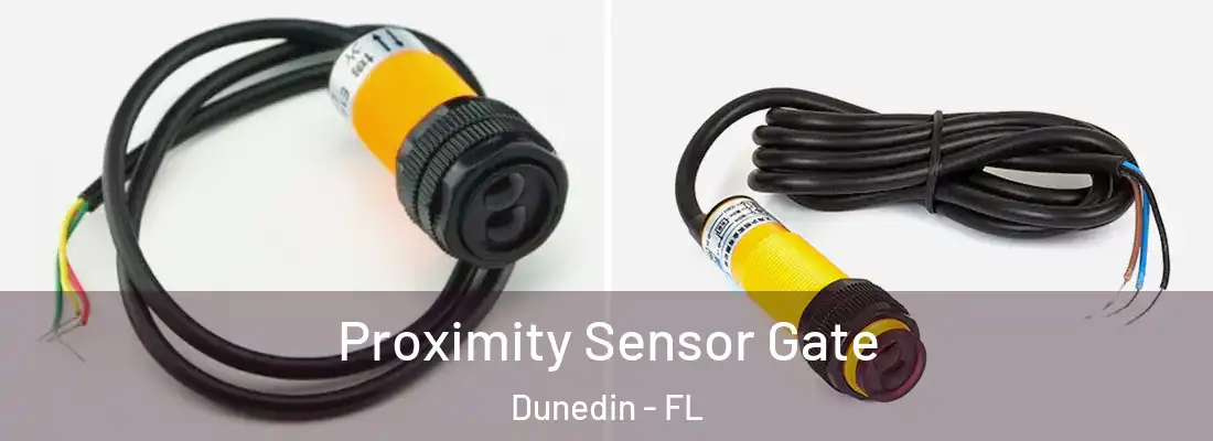 Proximity Sensor Gate Dunedin - FL