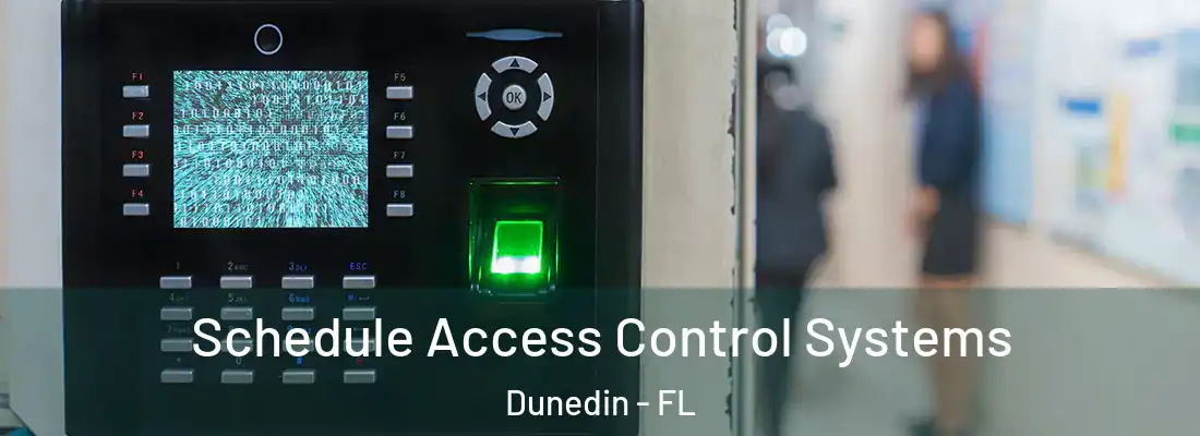 Schedule Access Control Systems Dunedin - FL