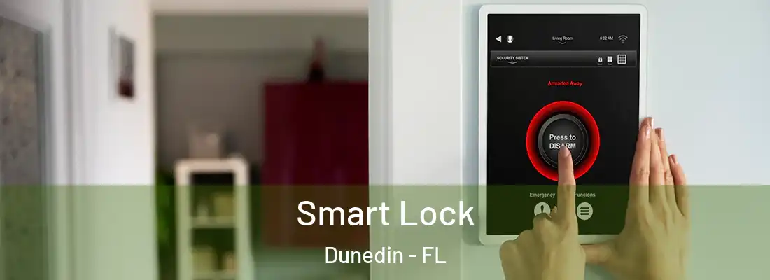 Smart Lock Dunedin - FL